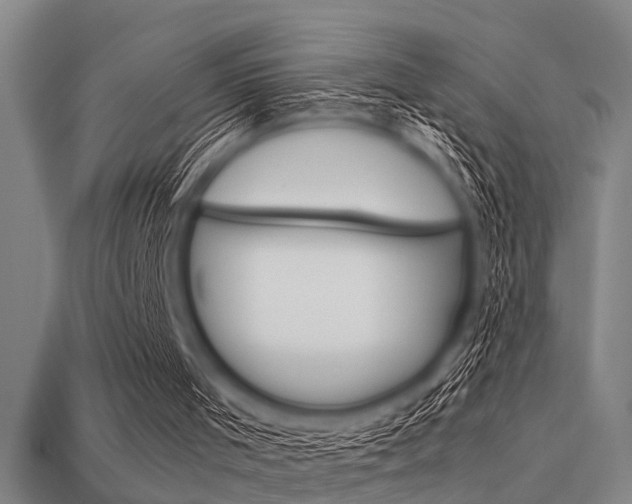 X0000113590001200909181057