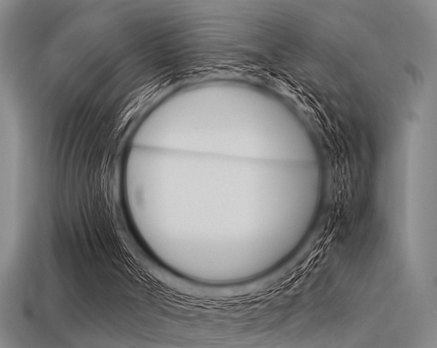 X0000113590002200909181057