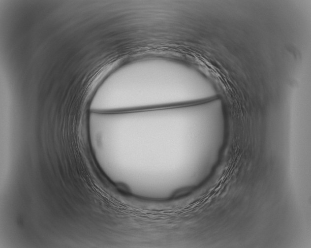 X0000113590003200909181057