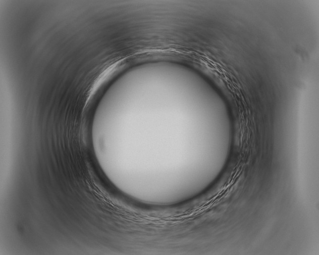 X0000113590004200909181057