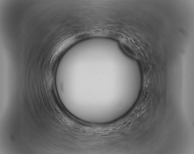 X0000113590005200909181057