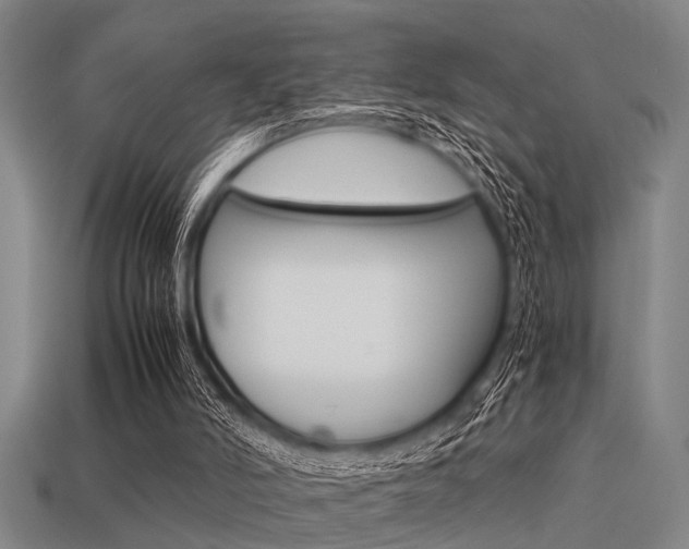 X0000113590006200909181057