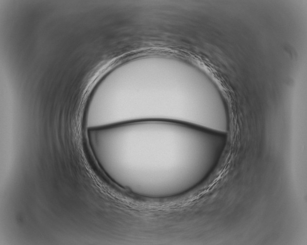 X0000113590007200909181057