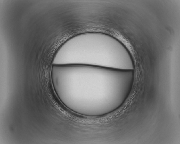 X0000113590009200909181057