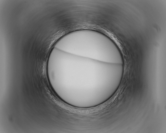 X0000113590010200909181057