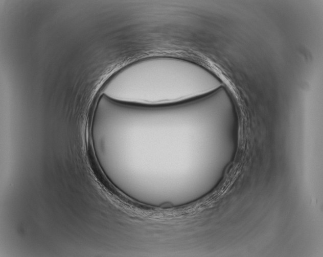 X0000113590011200909181057