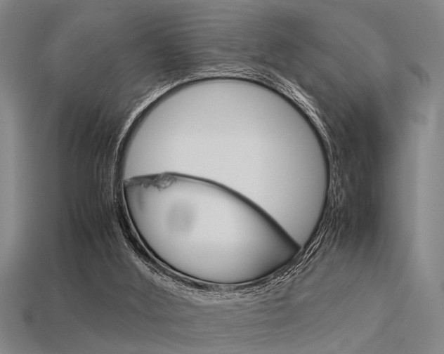 X0000113590012200909181057