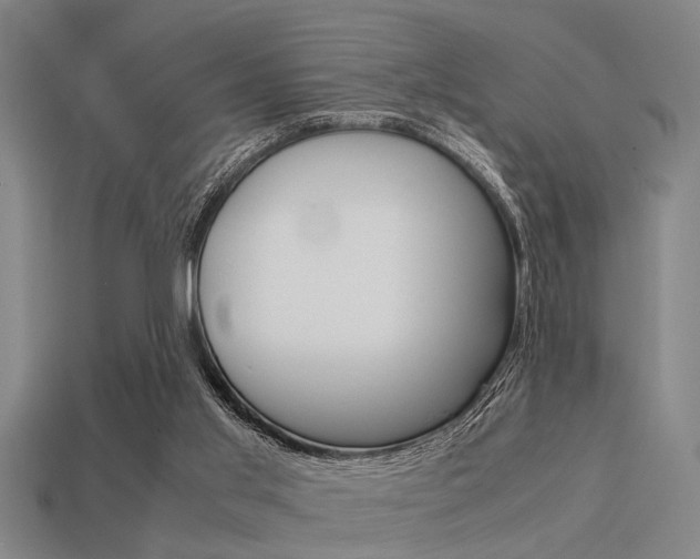 X0000113590013200909181057