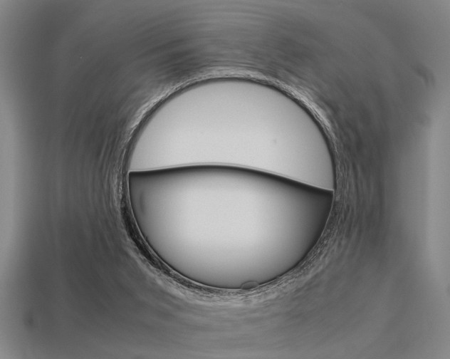 X0000113590015200909181057