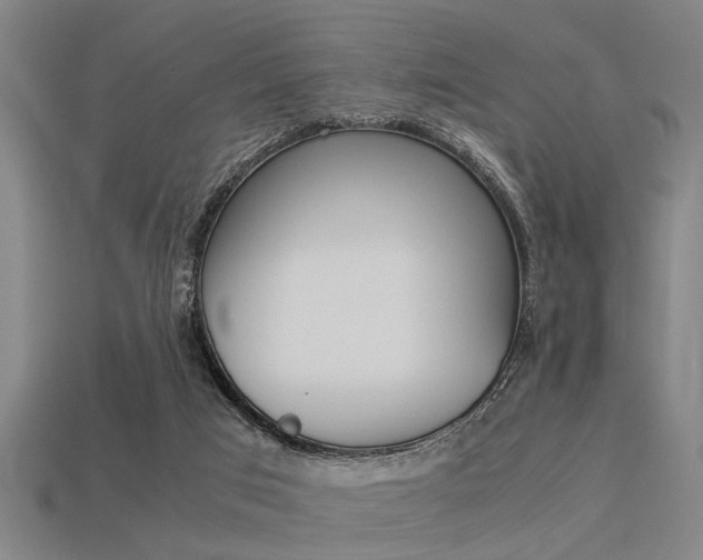 X0000113590017200909181057