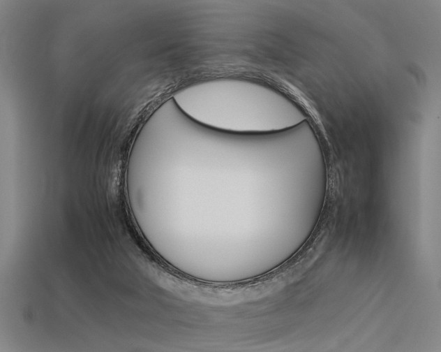 X0000113590018200909181057