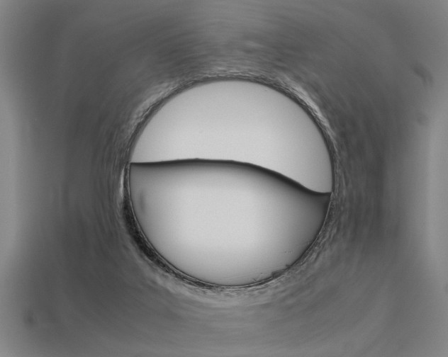 X0000113590019200909181057