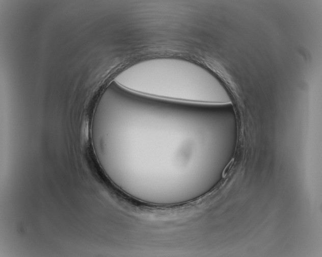 X0000113590021200909181057