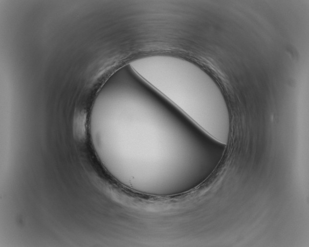 X0000113590024200909181057