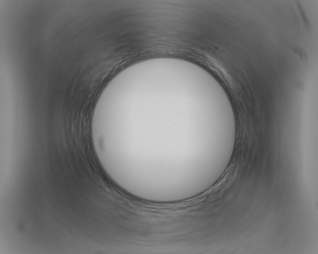 X0000113590025200909181057