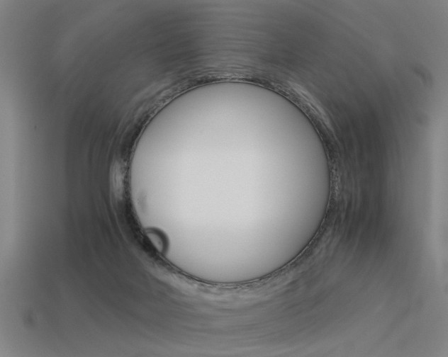 X0000113590026200909181057