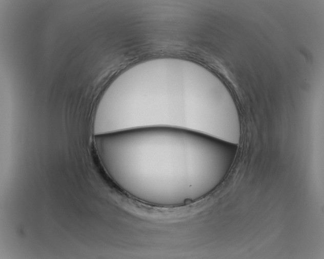 X0000113590027200909181057