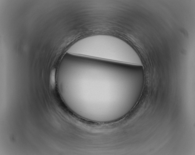 X0000113590028200909181057