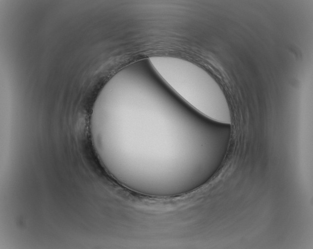 X0000113590029200909181057