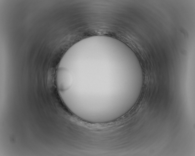 X0000113590030200909181057