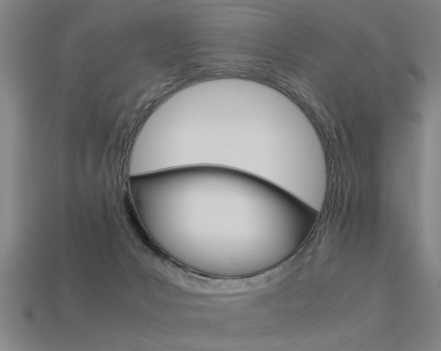 X0000113590031200909181057