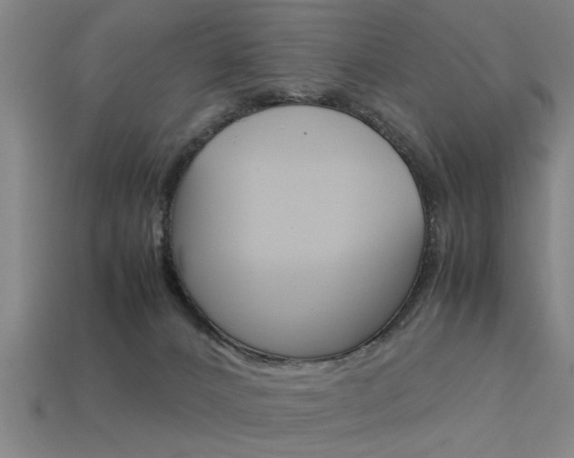 X0000113590032200909181057