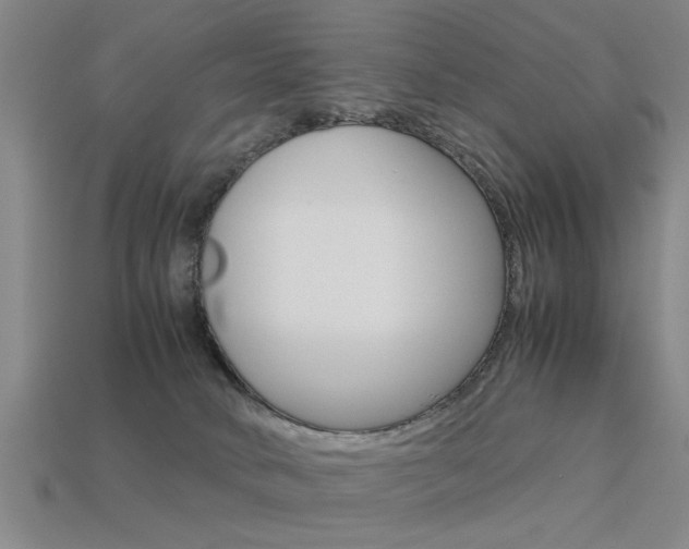 X0000113590034200909181057