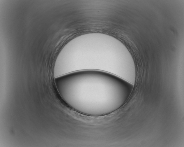 X0000113590035200909181057