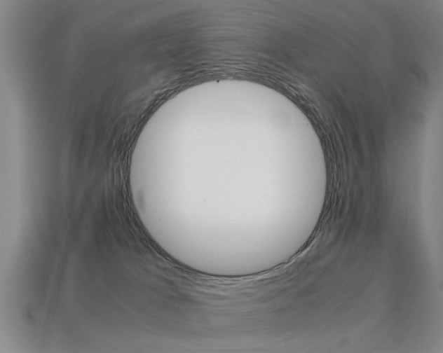 X0000113590037200909181057