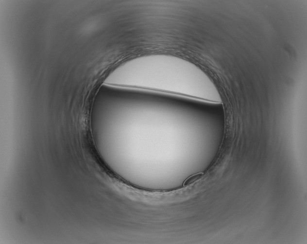 X0000113590039200909181057