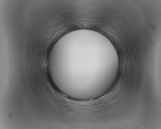 X0000113590040200909181057