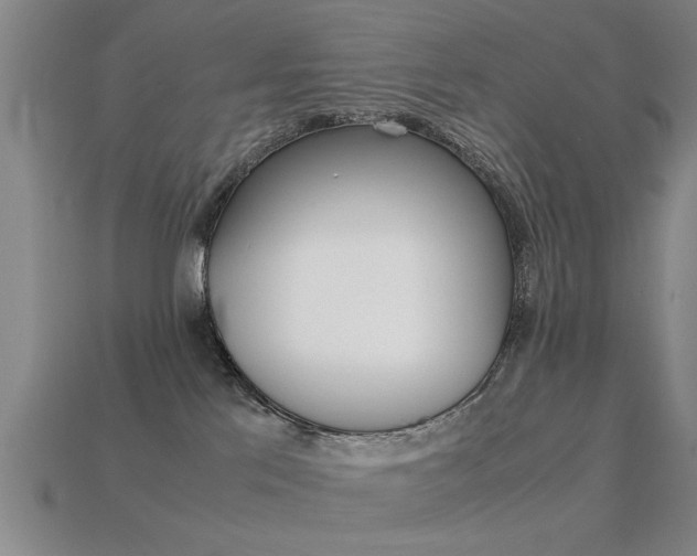 X0000113590041200909181057