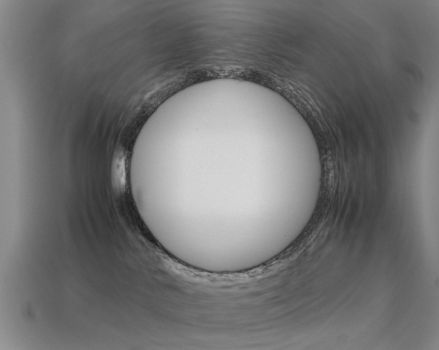 X0000113590042200909181057