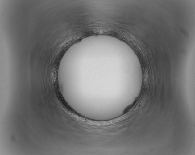 X0000113590043200909181057