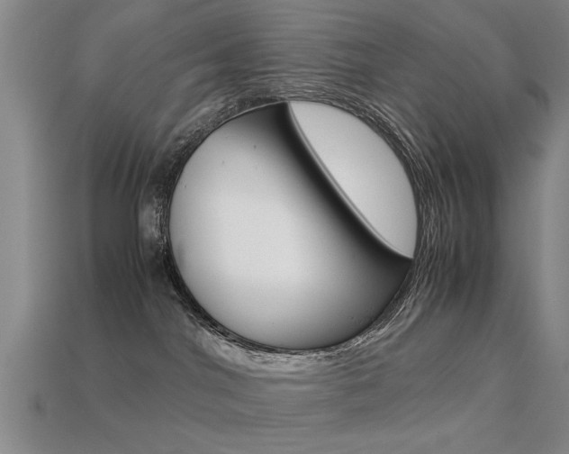 X0000113590044200909181057