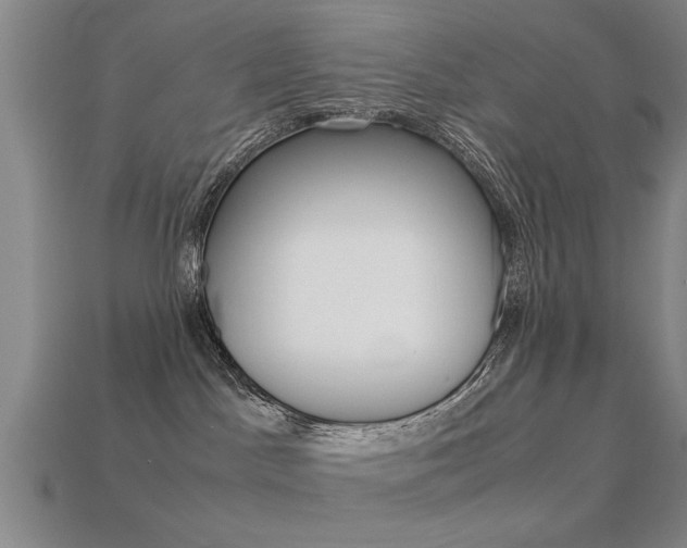 X0000113590045200909181057