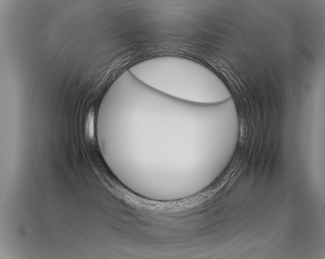 X0000113590046200909181057