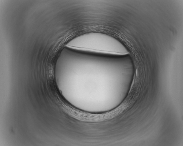 X0000113590048200909181057