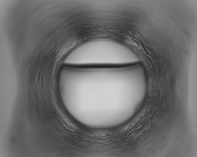 X0000113590049200909181056