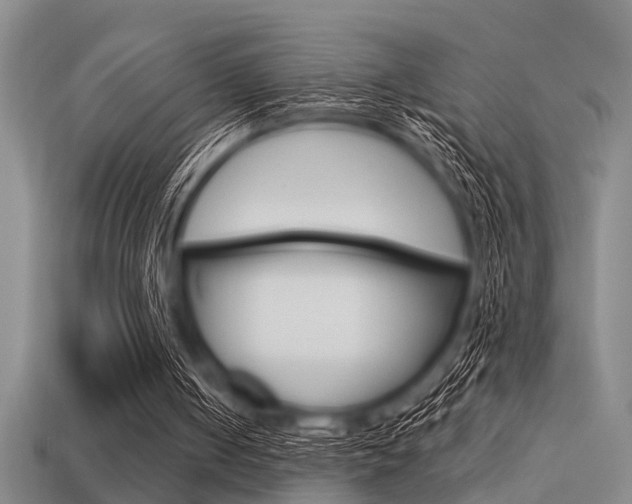 X0000113590050200909181056