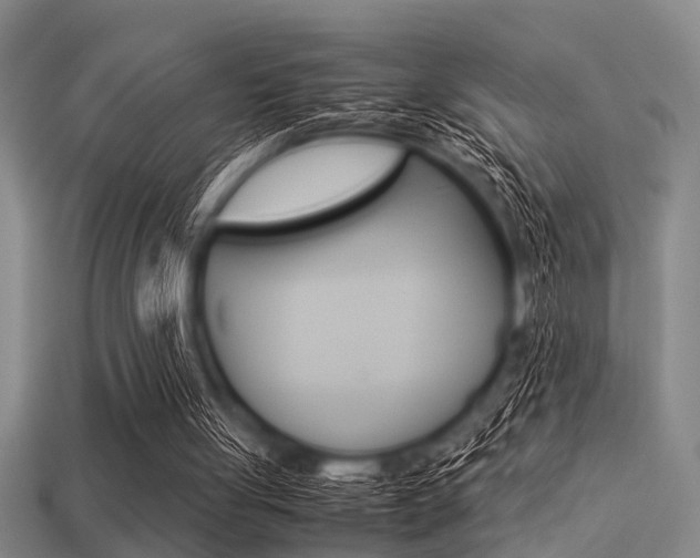 X0000113590051200909181056