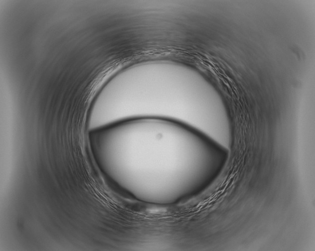 X0000113590052200909181056