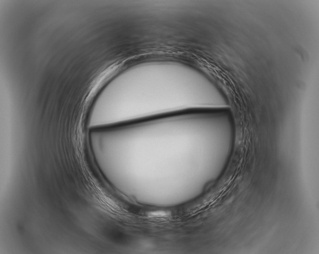 X0000113590053200909181056