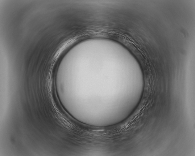 X0000113590054200909181056