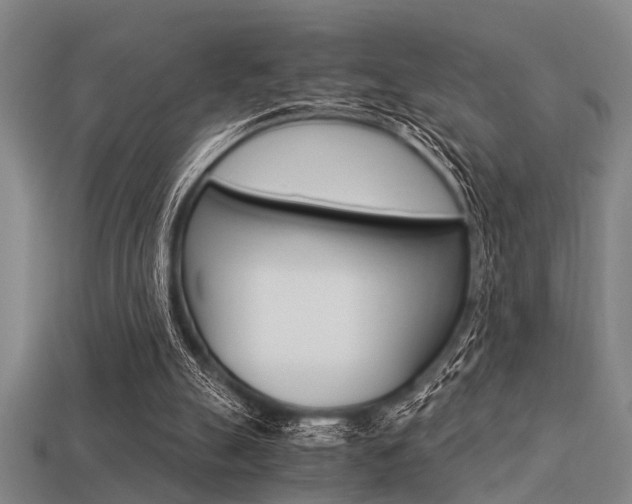 X0000113590055200909181056