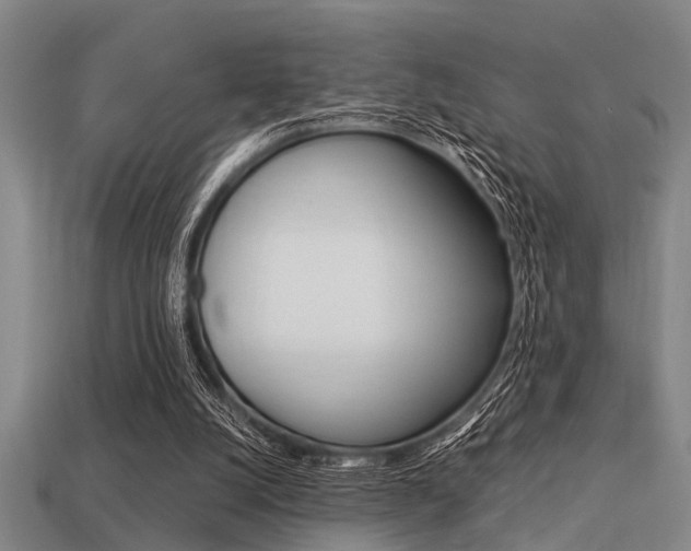 X0000113590056200909181056