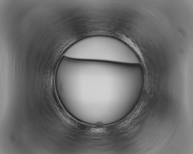 X0000113590057200909181056