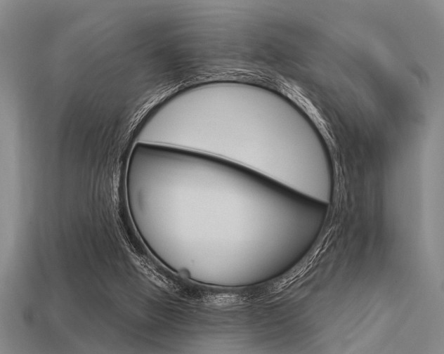 X0000113590058200909181056