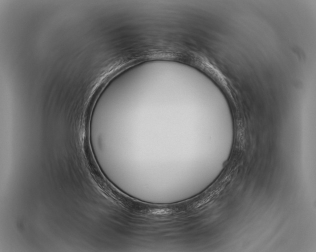 X0000113590059200909181056