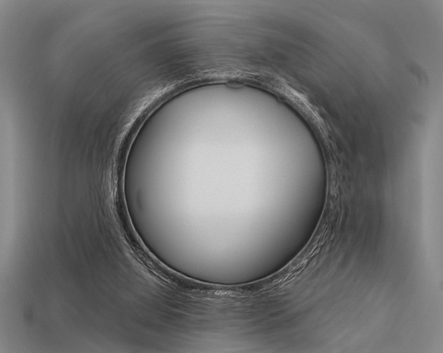 X0000113590060200909181056